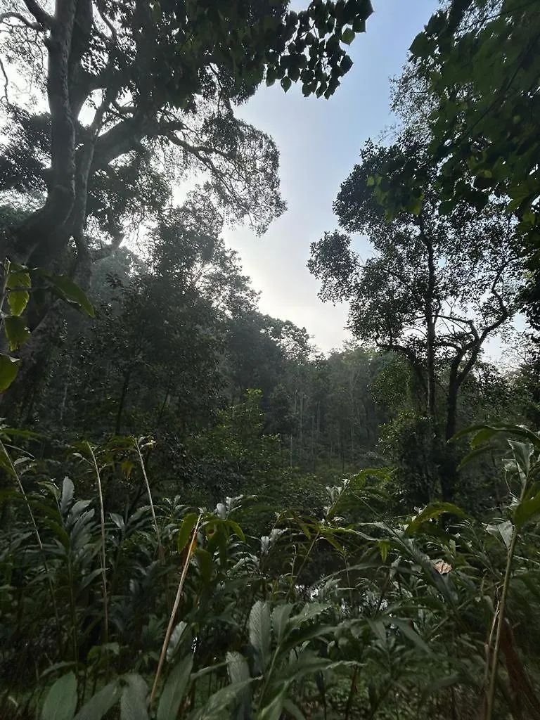 Elakadu Vasathi Villa Nedumkandam 0*,
